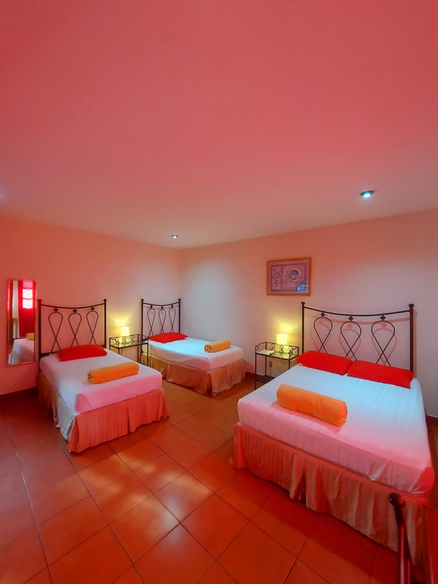 Hostal Lolita'S Boutique Granada Εξωτερικό φωτογραφία