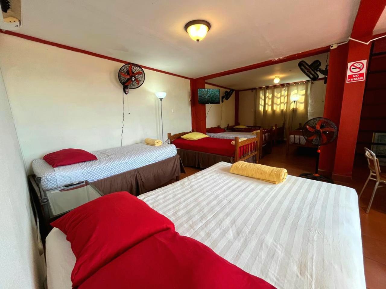 Hostal Lolita'S Boutique Granada Εξωτερικό φωτογραφία